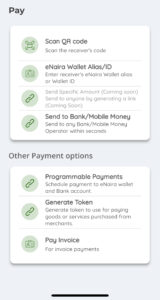 eNaira payment options